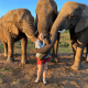 Elephant Walk, Garden Route