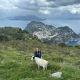 Petting goats in Capri, Italy during our ISA field trip